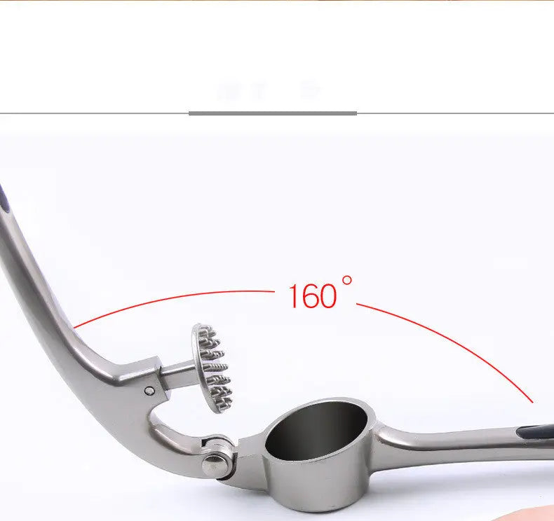 Kitchen Gadget Manual Garlic Press Mashing Too - Glamour gadget04