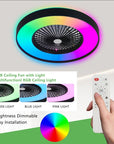 23″ Smart RGB Ceiling Fan Light